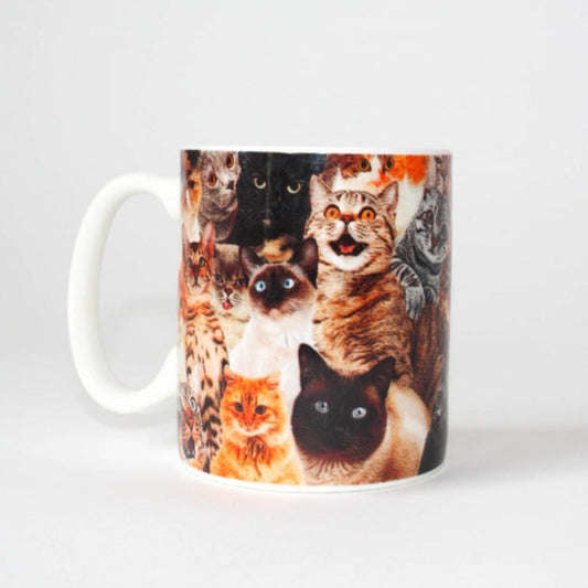 Mug Crazy Cat - Gift Republic