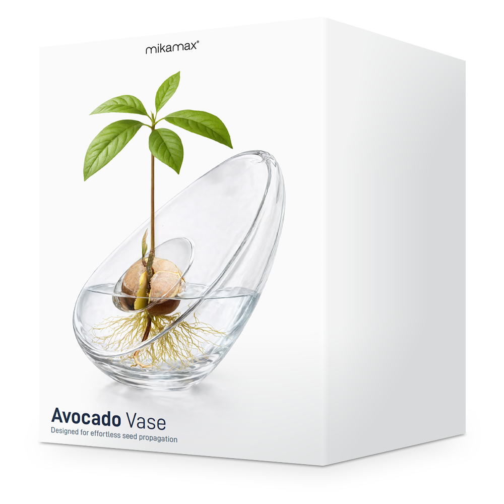 Vaas Avocado