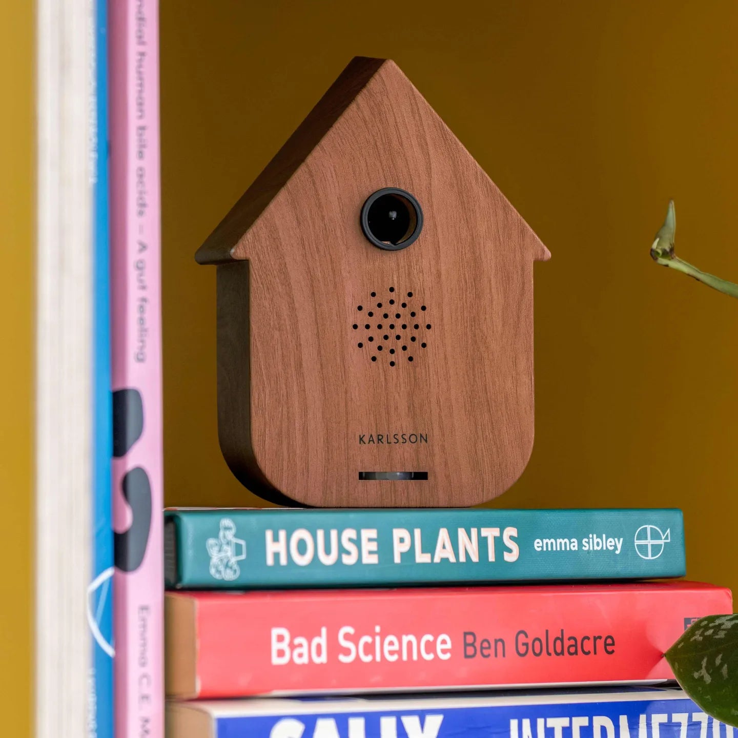 Sound Box Cuckoo Dark Wood - Karlsson
