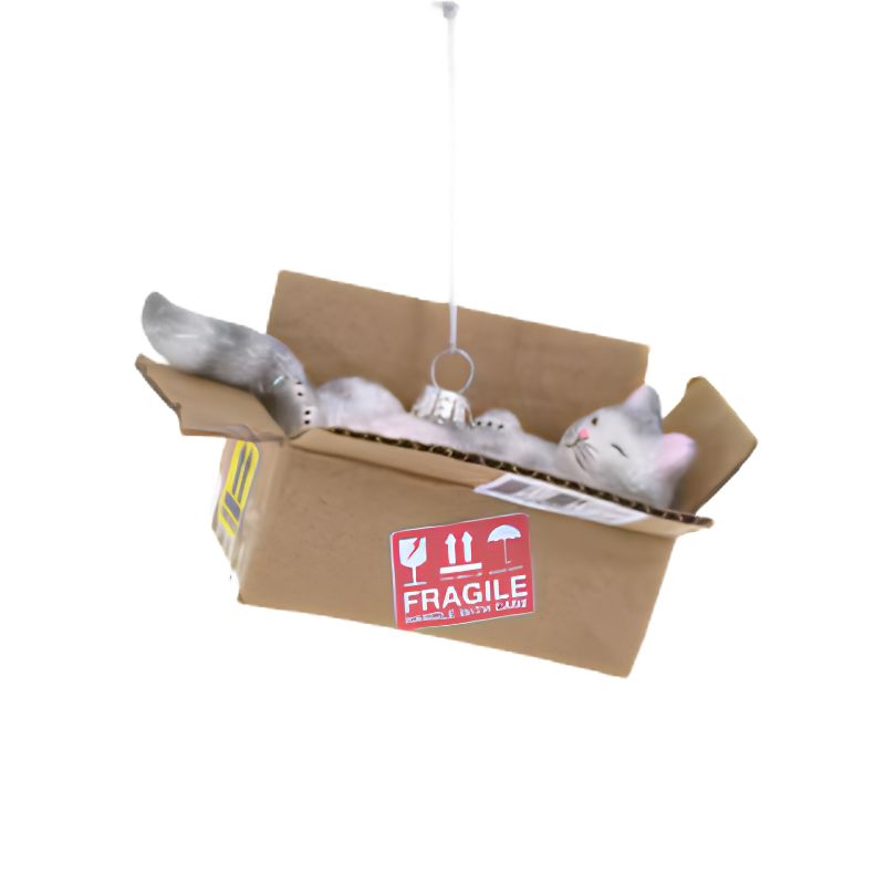 Kerst Ornament Cat In A Box - Cody Foster
