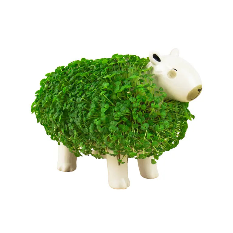 Plantenpot Capibara Chia – Gift Republic