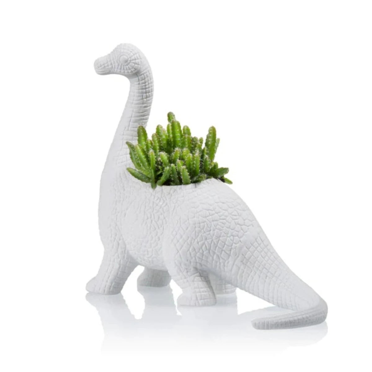 Plantenpot Brachiosaurus - Bitten