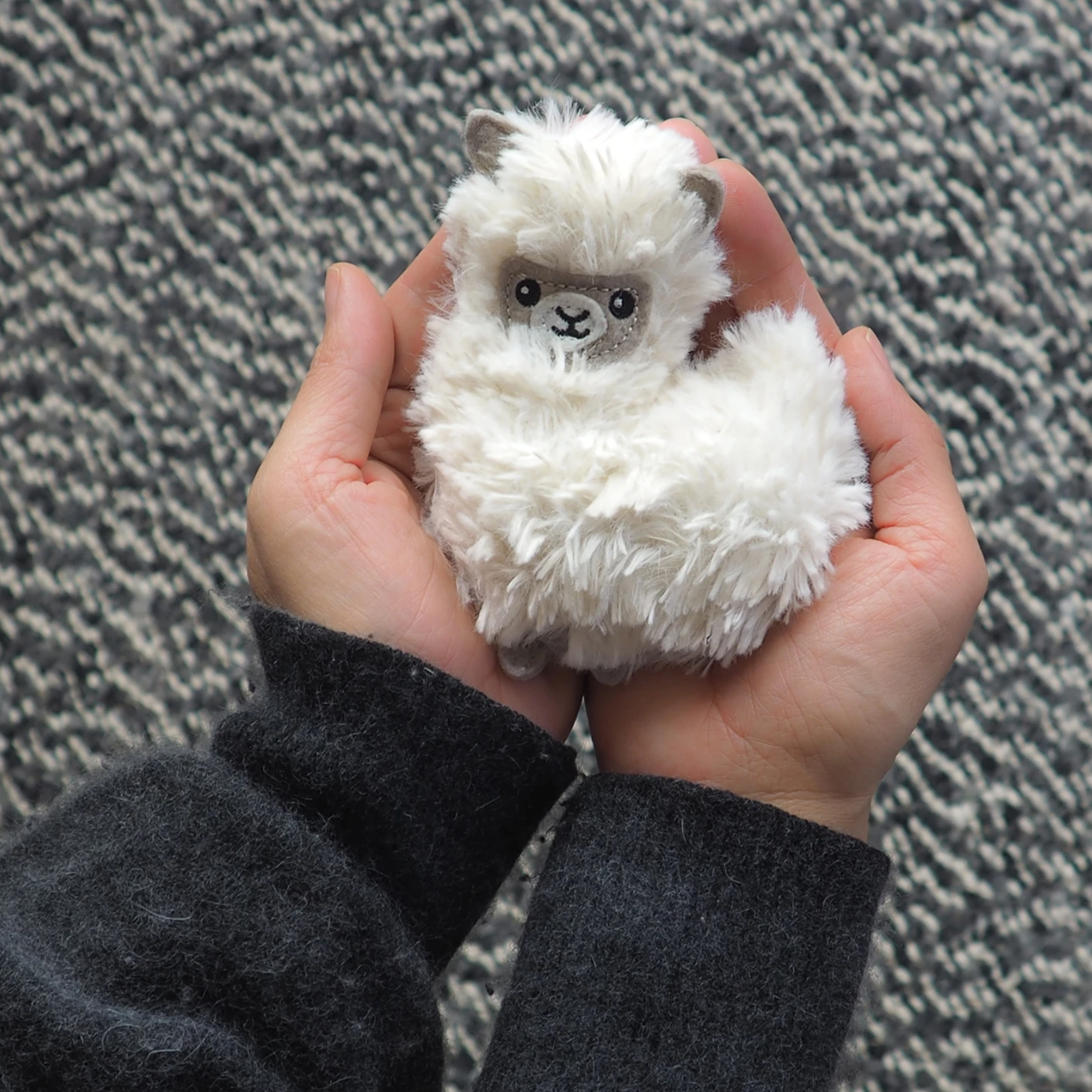 Pocket Pal Bean Bag Llama - Bitten