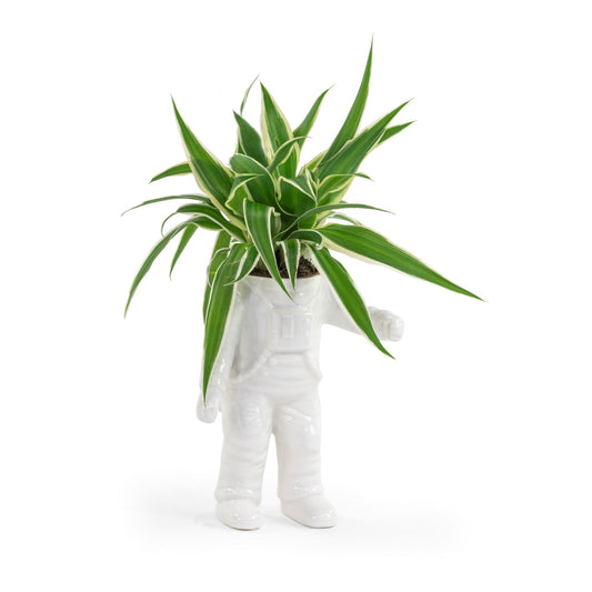 Plant Pot Astronaut White Large - Bitten