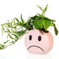 Plantenpot Mood - Bitten