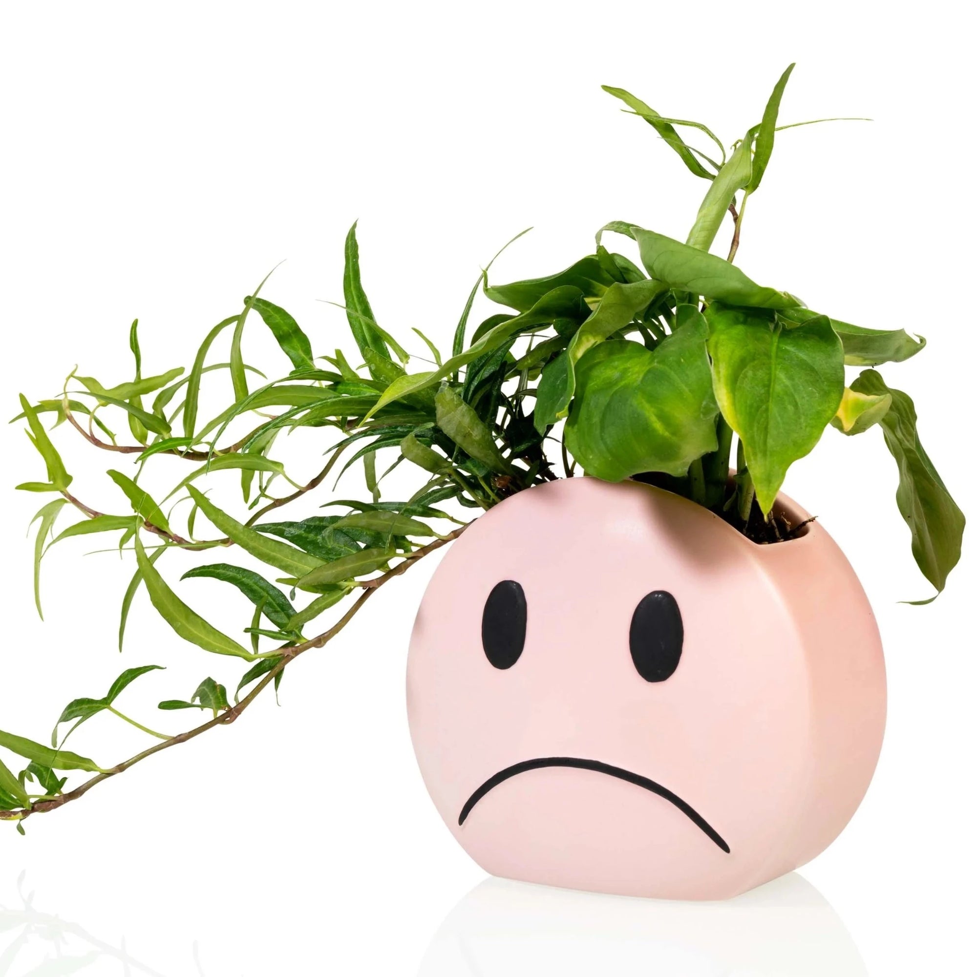 Plant pot Mood - Bitten