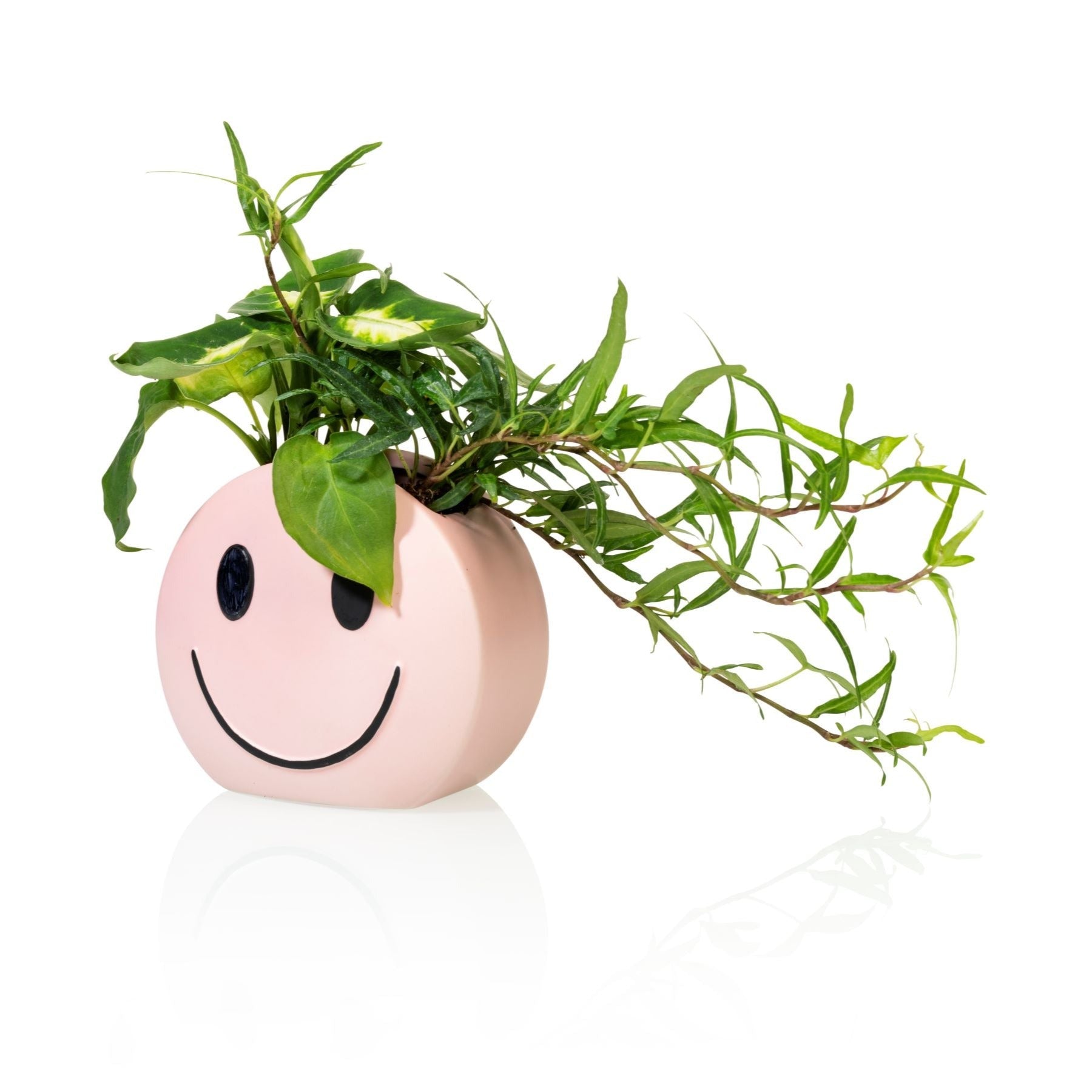 Plant pot Mood - Bitten