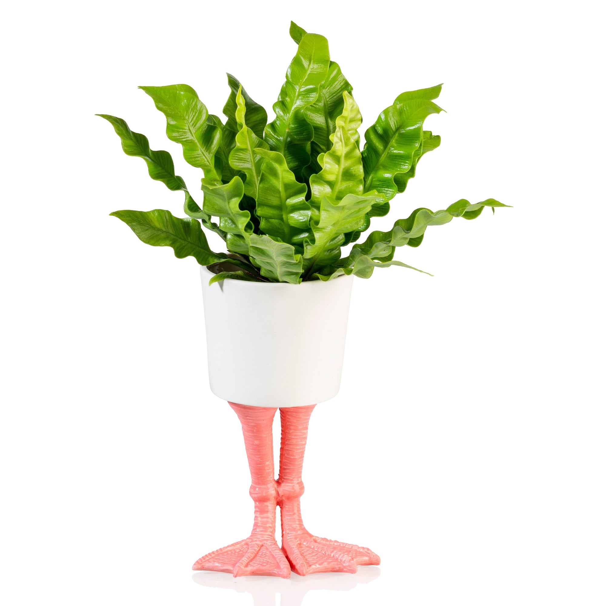Plantenpot Flamingo Feet Small - Bitten