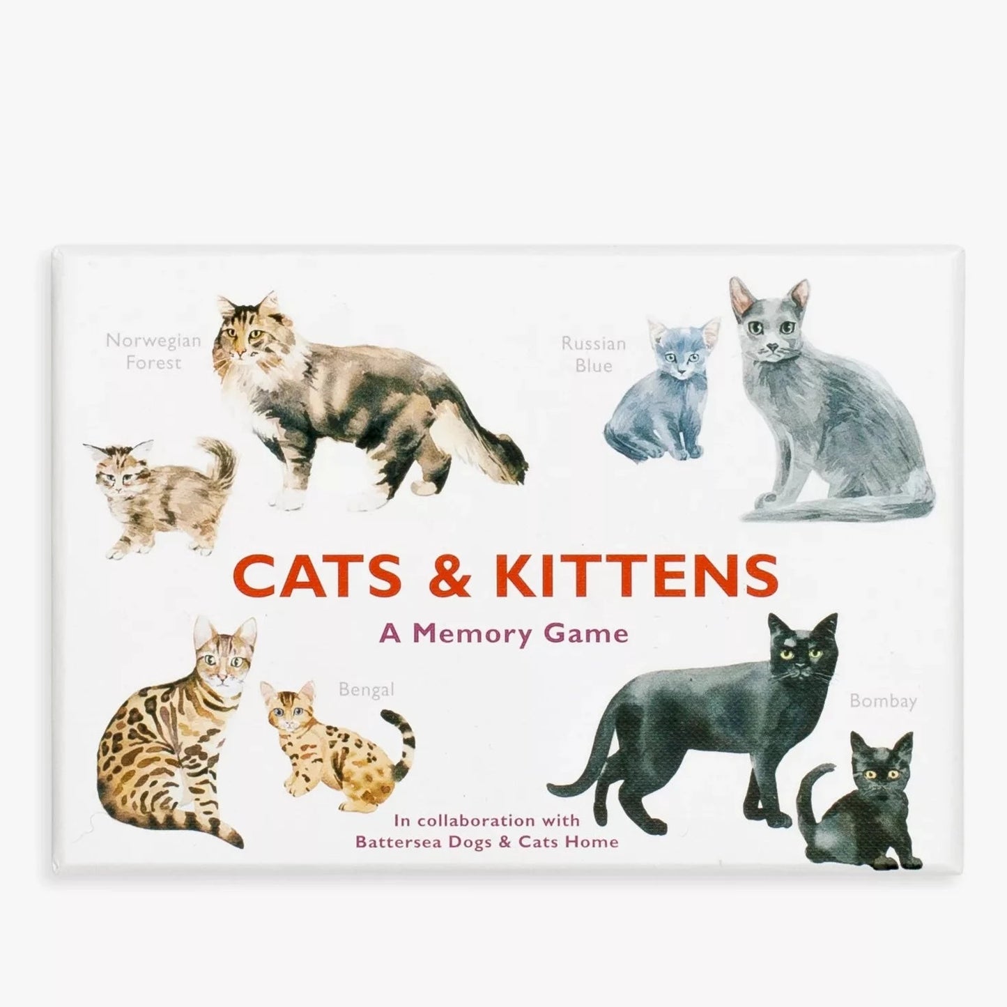 Spel Cat & Kittens Memory Game - Laurence King