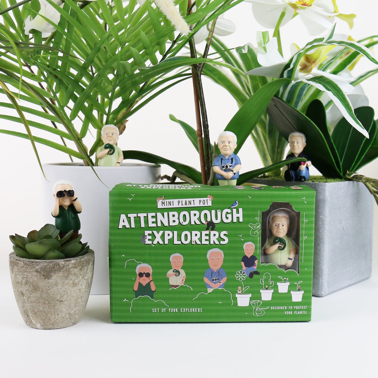 Plantdecoratie Attenborough Explorers - Gift Republic