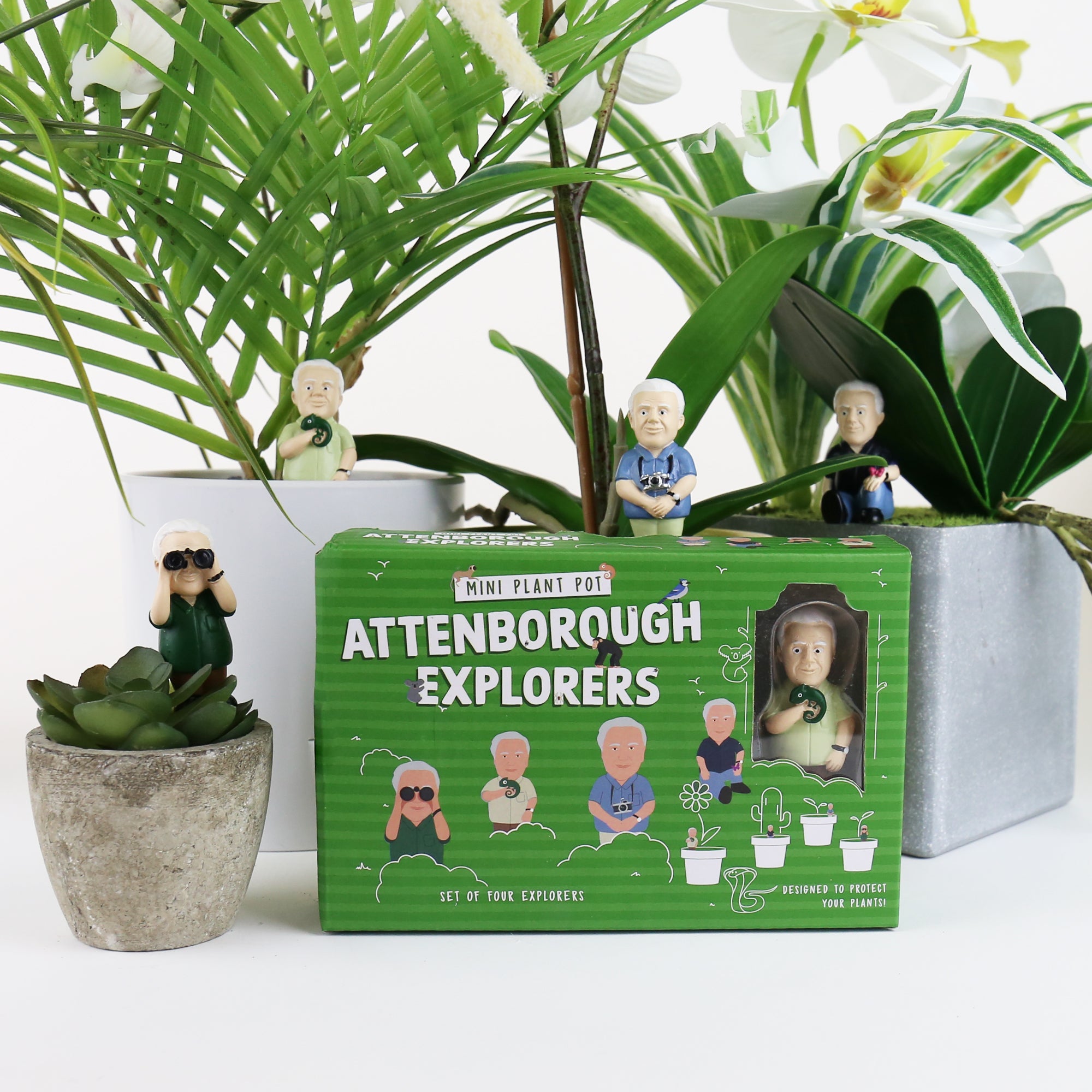 Plant decoration Attenborough Explorers - Gift Republic