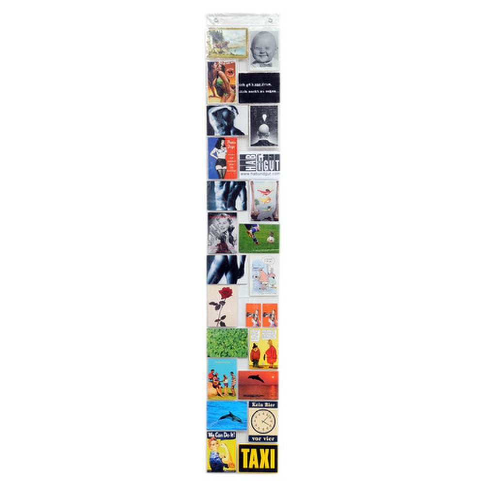 Photo Curtain 24 Sections 164cm - Hab und Gut
