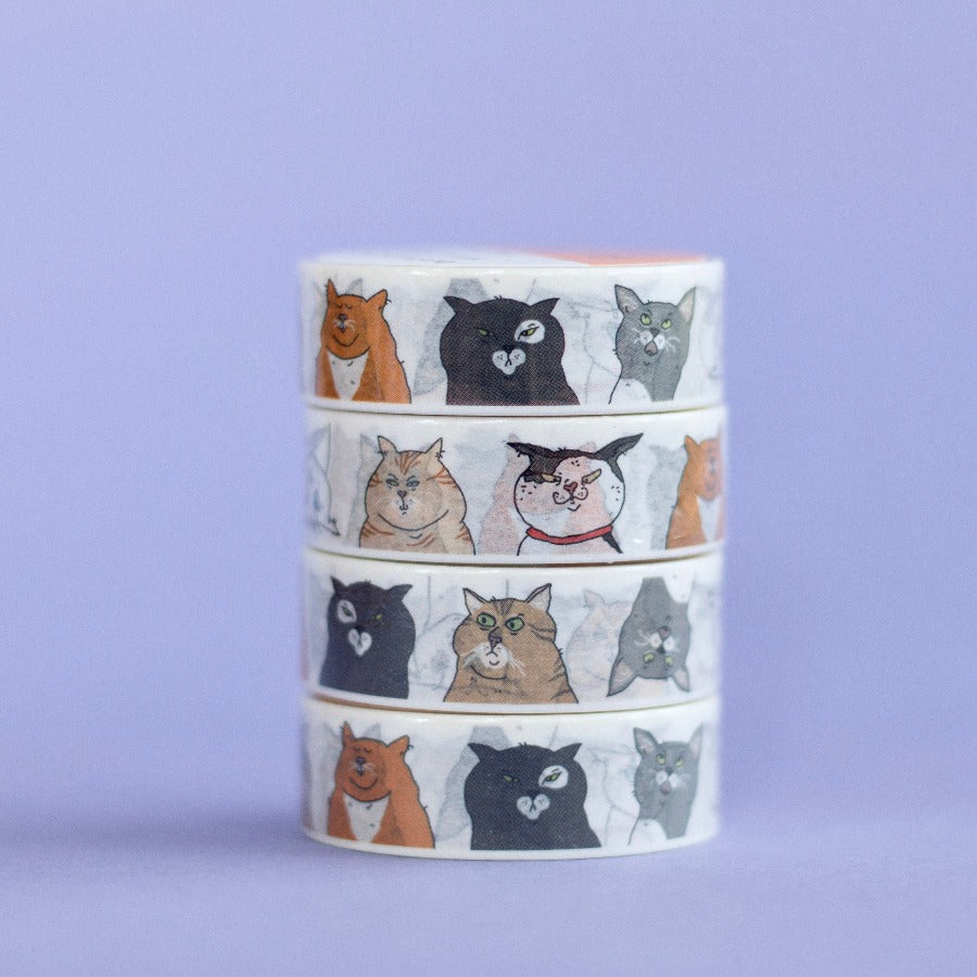Washi Tape Cats - Eat Mielies