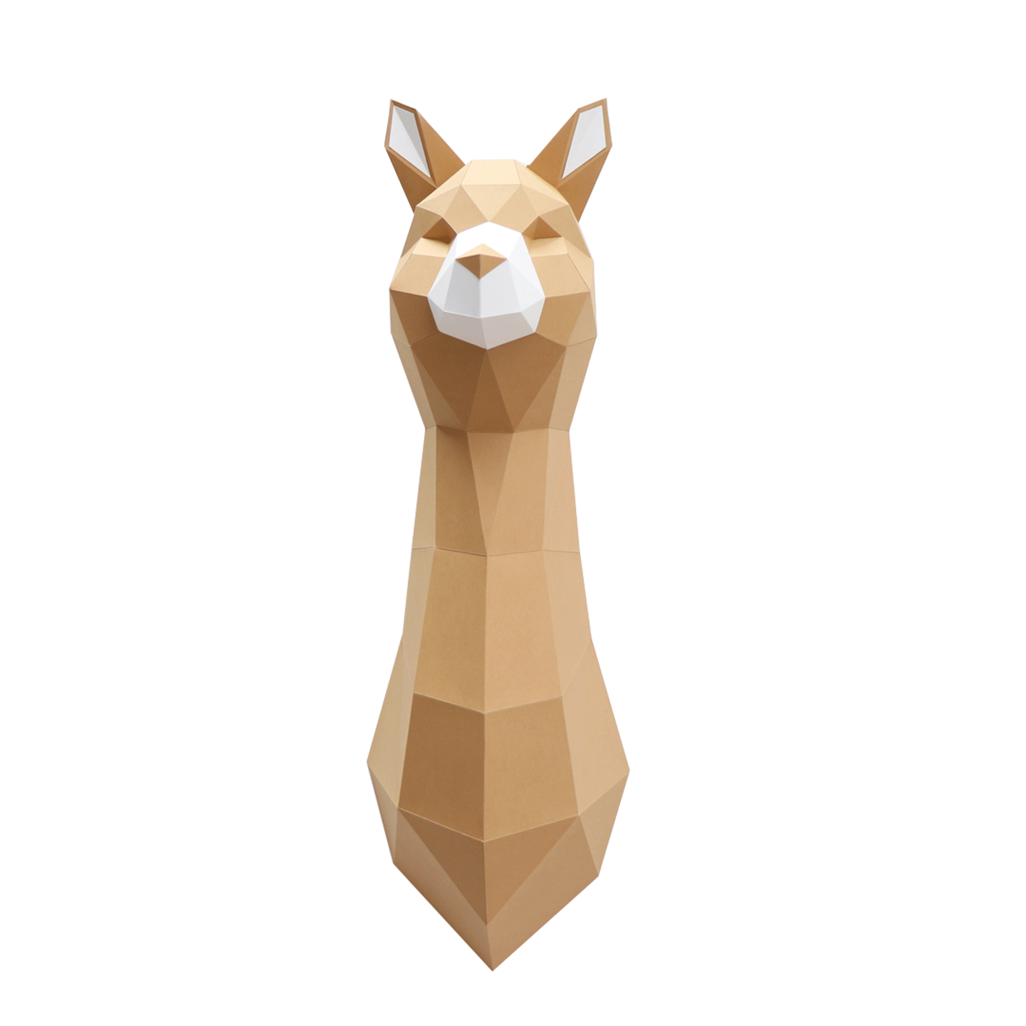 Paper Alpaca - Assembli