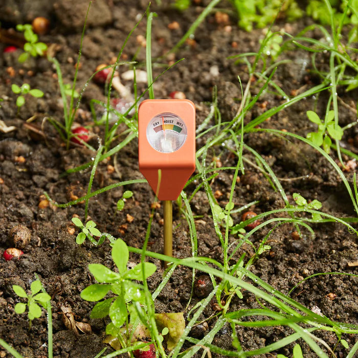 Feuchtigkeitsmesser Garten - Kikkerland