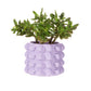 Plantenpot Lila - Sass & Belle