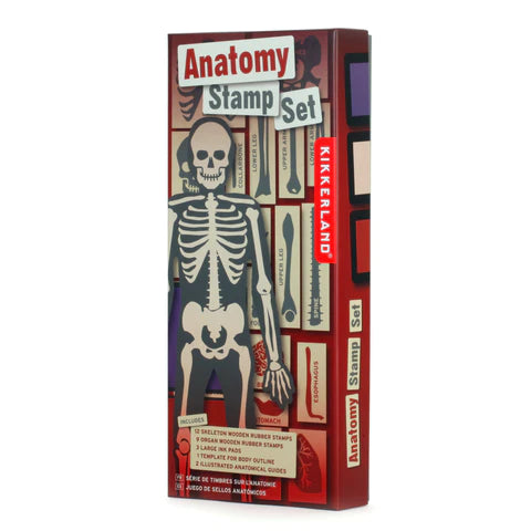 Stamp set Anatomy - Kikkerland