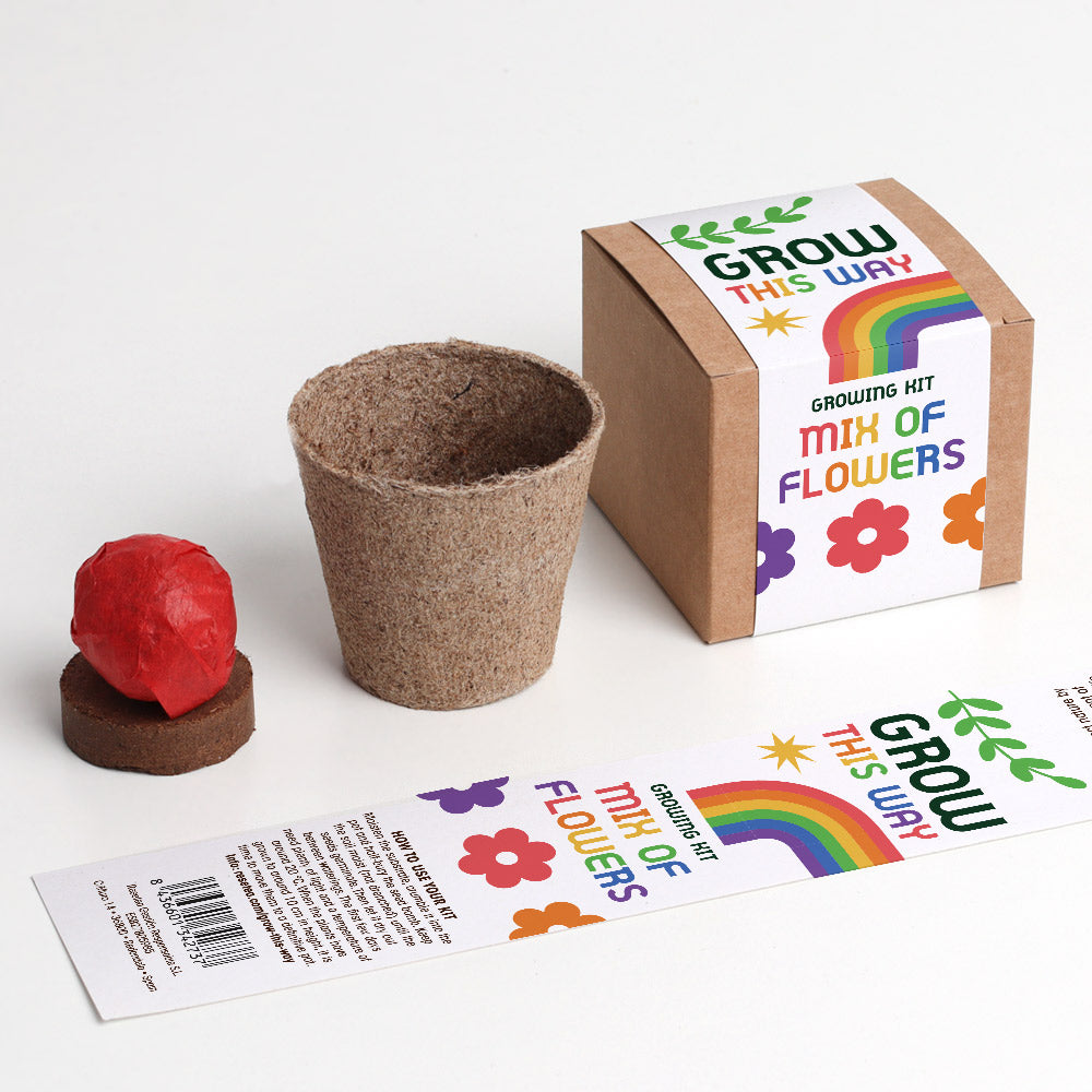 Grow Kit Grow This Way Flowers - Resetea