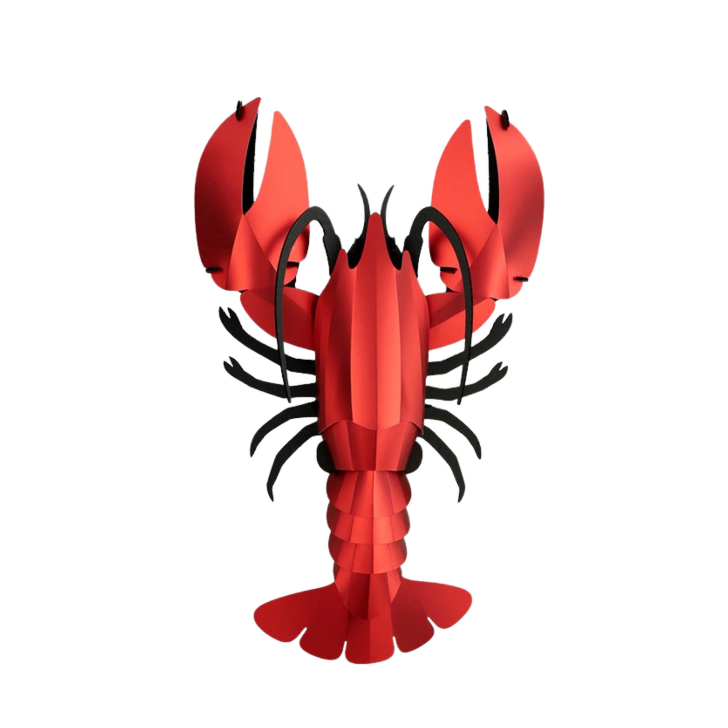 Paper Lobster - Assembli