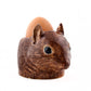 Eierdop Eekhoorn - Quail