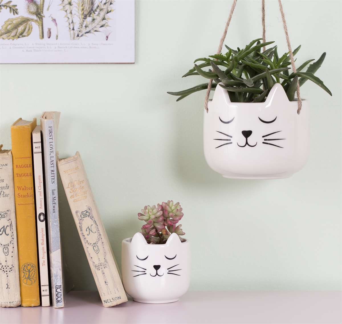 Blumentopf Katze - Sass & Belle