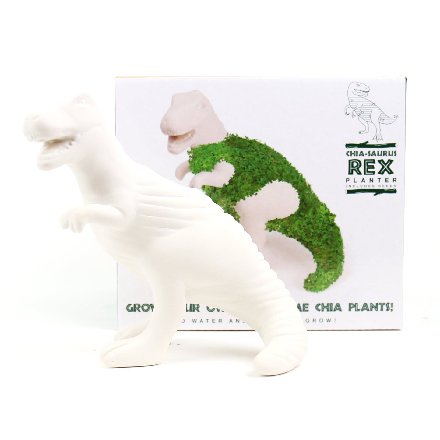Growing Planter Saurus Rex - Gift Republic