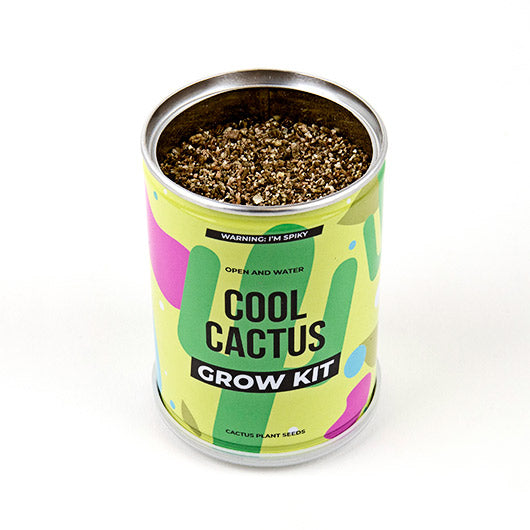 Kweekset Cactus Grow Tin - Gift Republic
