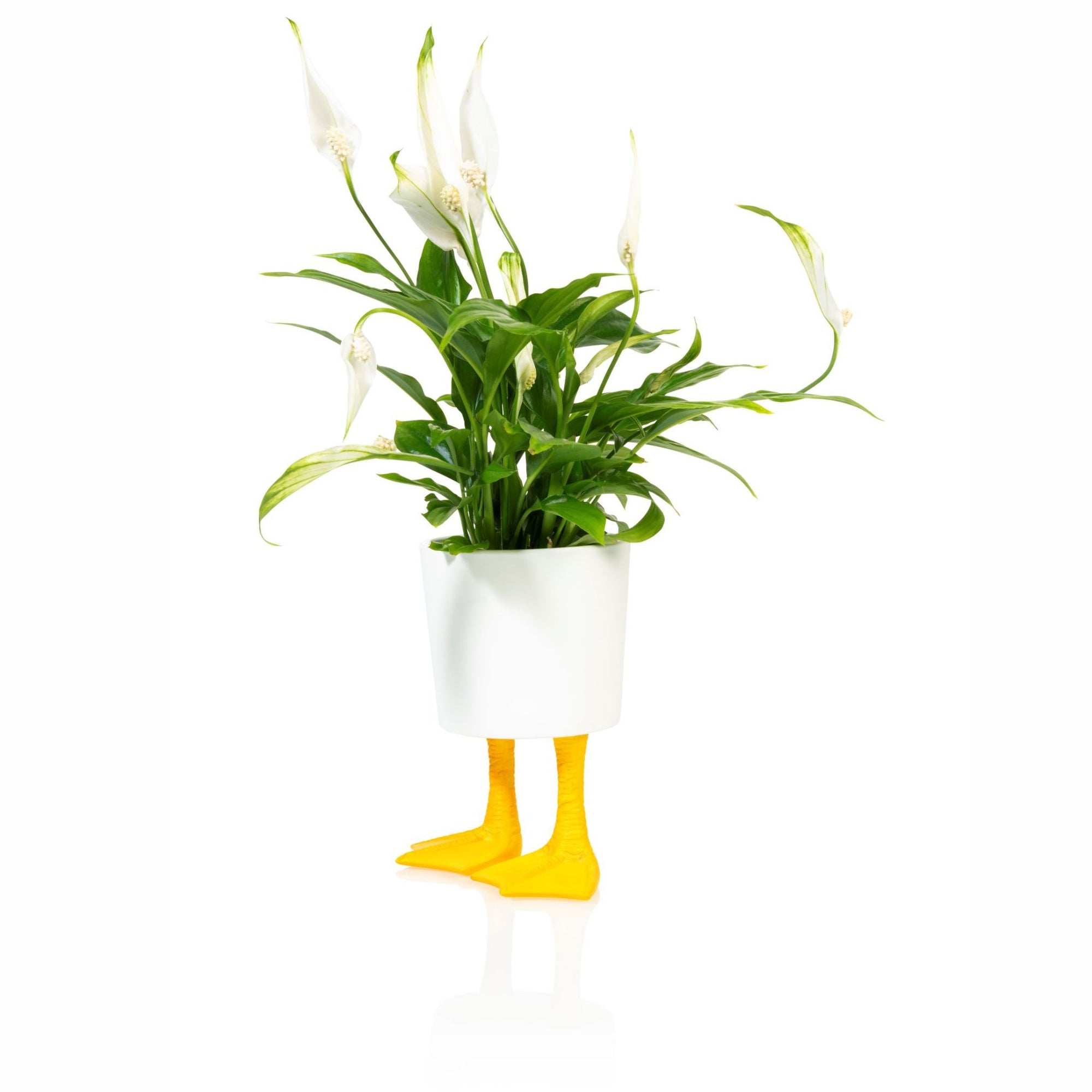 Plant pot Duck Feet Small - Bitten