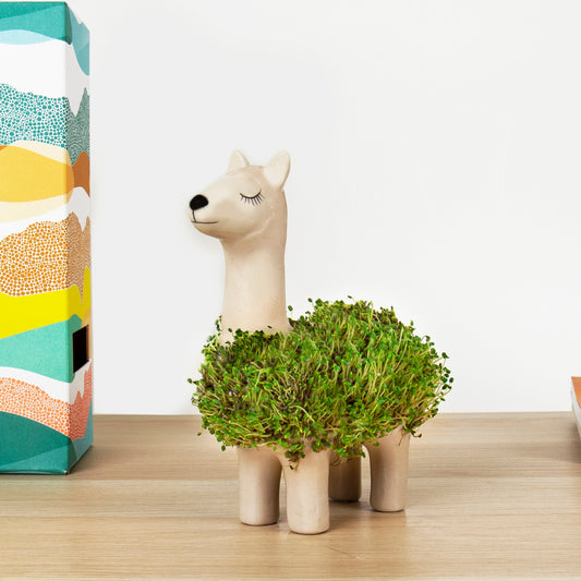 Growing Planter Llama - Gift Republic