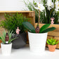 Plantdecoratie Naked Ramblers- Gift Republic