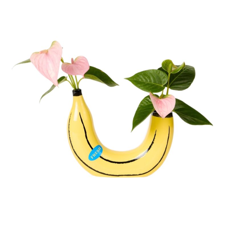 Vaas Banaan - Doiy