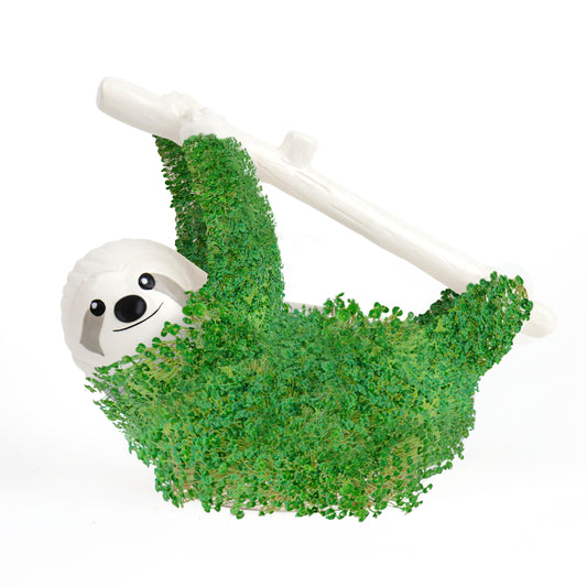Growing Planter Sloth - Gift Republic