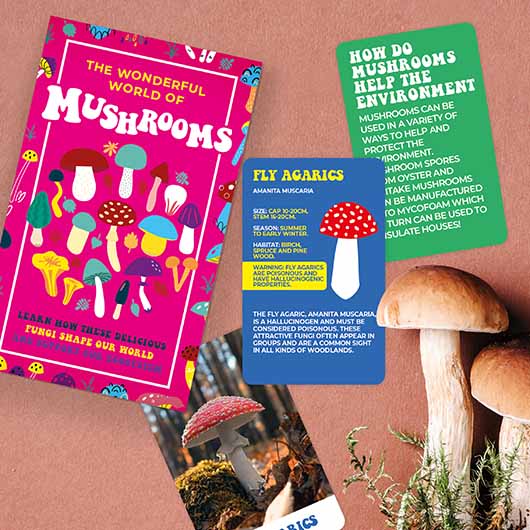 The Wonderful World of Mushrooms Cards - Gift Republic